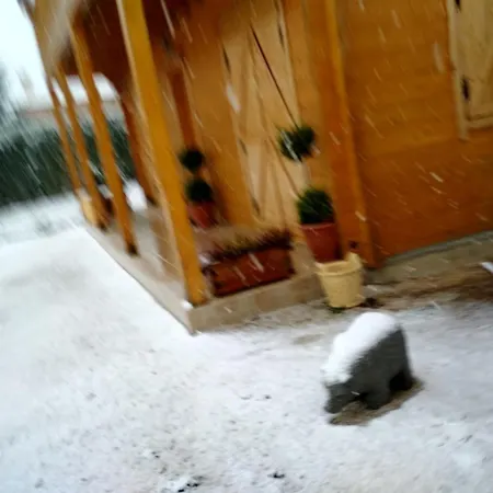 Chalet Kastor *