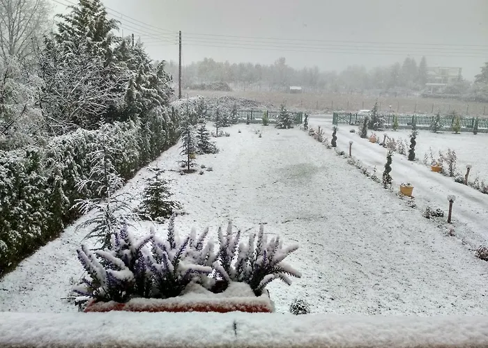 Kastor Ampelokipoi (Kastoria)