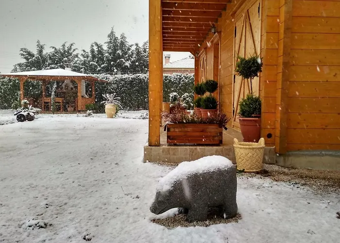 Chalet Kastor Ampelokipoi (Kastoria)