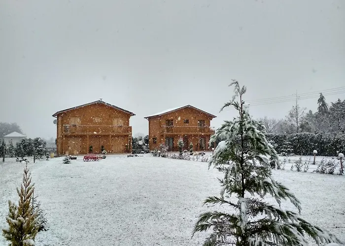 Kastor Ampelokipoi (Kastoria)