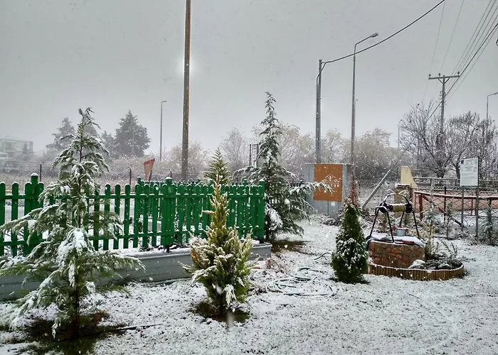 Kastor Ampelokipoi (Kastoria)